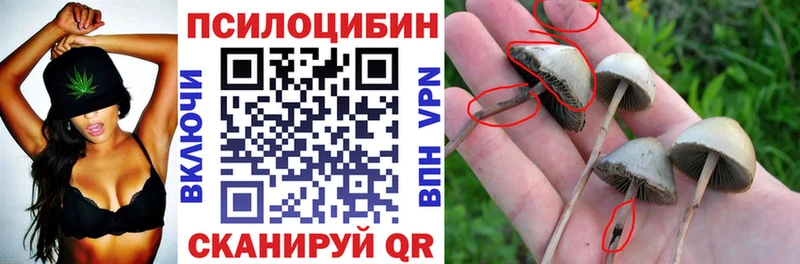 Галлюциногенные грибы MAGIC MUSHROOMS  Купить закладки  Котово 